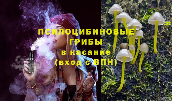 apvp Бежецк