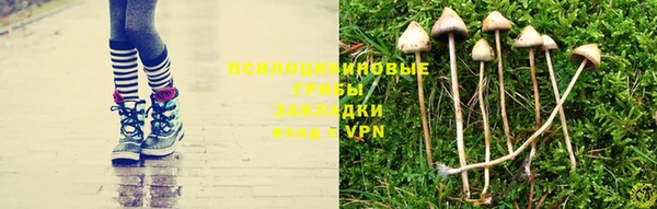 MESCALINE Аркадак