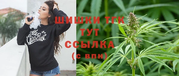гашик Белая Холуница